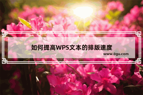 如何提高WPS文本的排版速度