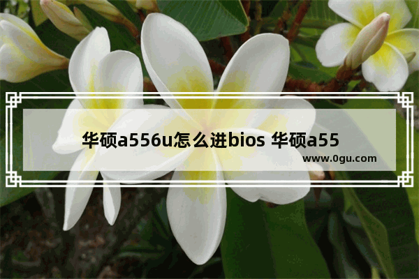 华硕a556u怎么进bios 华硕a556u bios设置启动项