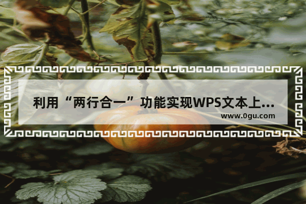 利用“两行合一”功能实现WPS文本上下分布式对齐的方法