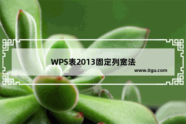 WPS表2013固定列宽法