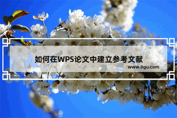 如何在WPS论文中建立参考文献