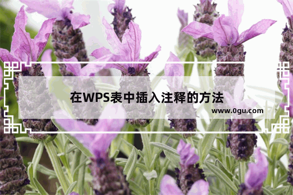 在WPS表中插入注释的方法