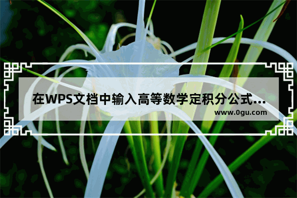 在WPS文档中输入高等数学定积分公式的方法