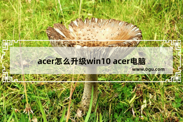 acer怎么升级win10 acer电脑怎么更新最新版本