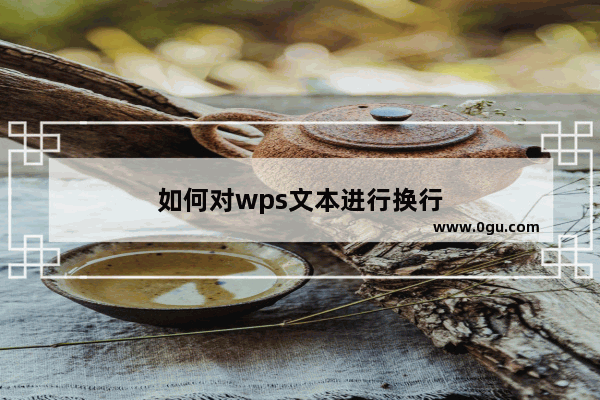 如何对wps文本进行换行