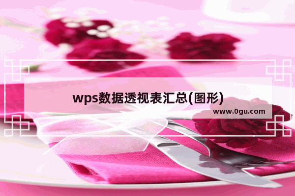 wps数据透视表汇总(图形)