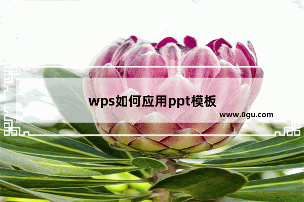 wps如何应用ppt模板