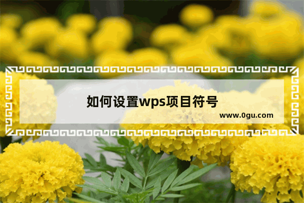 如何设置wps项目符号