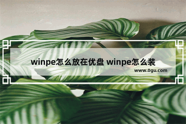 winpe怎么放在优盘 winpe怎么装系统