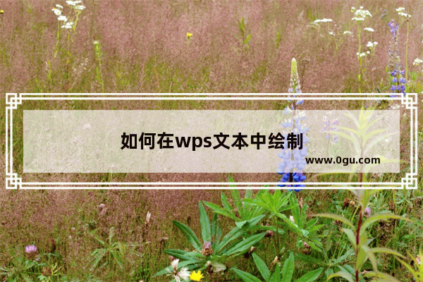 如何在wps文本中绘制