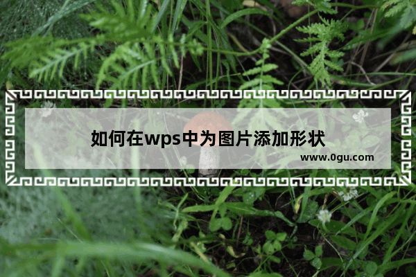 如何在wps中为图片添加形状