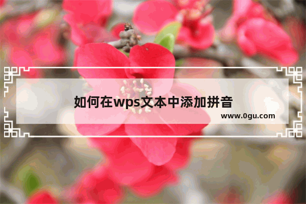 如何在wps文本中添加拼音