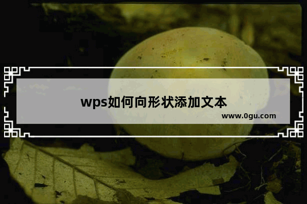 wps如何向形状添加文本