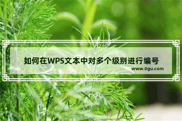 如何在WPS文本中对多个级别进行编号