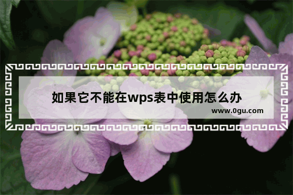 如果它不能在wps表中使用怎么办