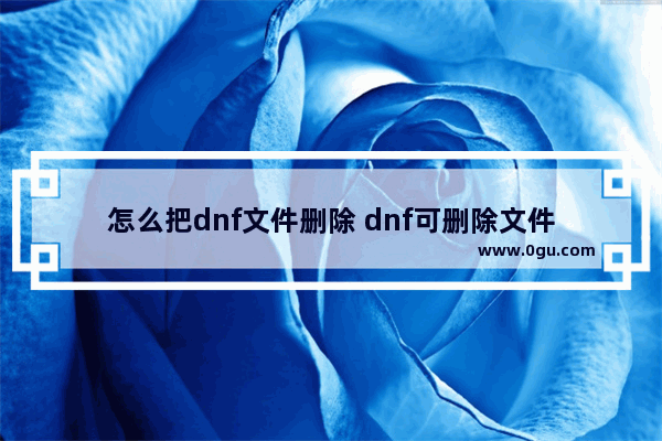 怎么把dnf文件删除 dnf可删除文件