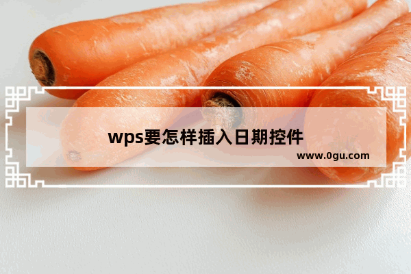 wps要怎样插入日期控件