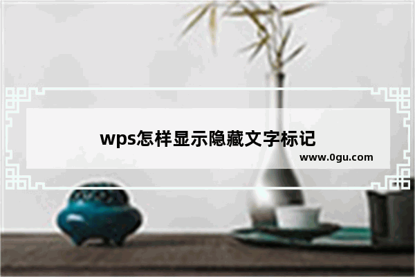 wps怎样显示隐藏文字标记