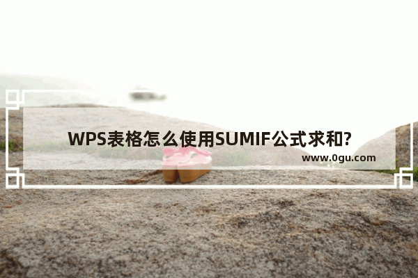 WPS表格怎么使用SUMIF公式求和?