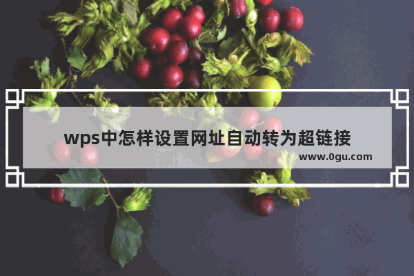 wps中怎样设置网址自动转为超链接