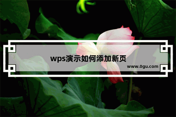 wps演示如何添加新页