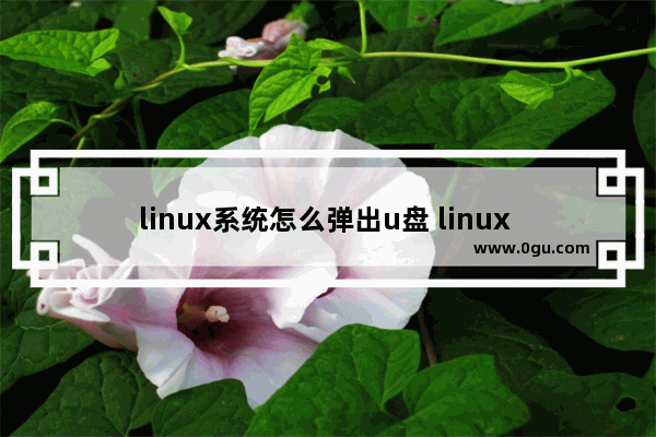 linux系统怎么弹出u盘 linux 打开u盘