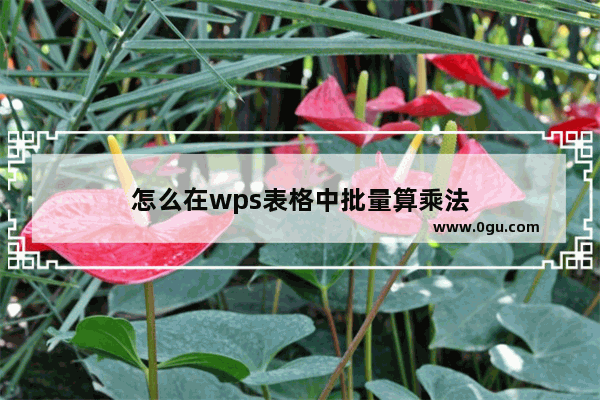 怎么在wps表格中批量算乘法