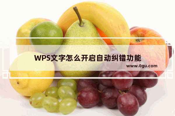 WPS文字怎么开启自动纠错功能