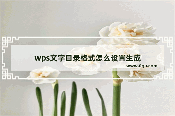 wps文字目录格式怎么设置生成