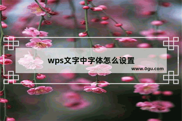 wps文字中字体怎么设置