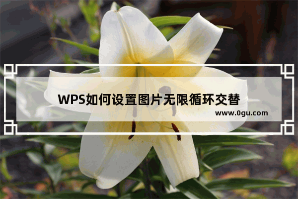 WPS如何设置图片无限循环交替