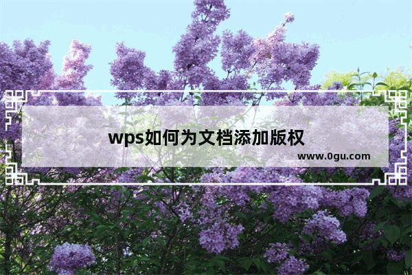 wps如何为文档添加版权