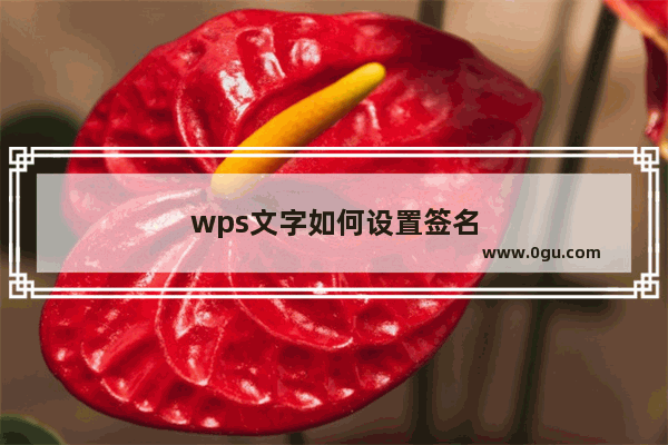 wps文字如何设置签名