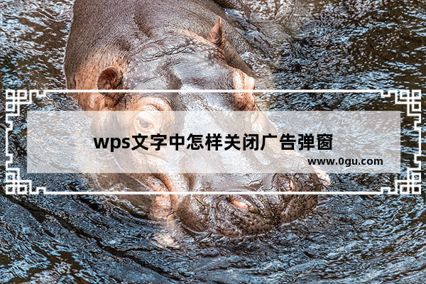 wps文字中怎样关闭广告弹窗