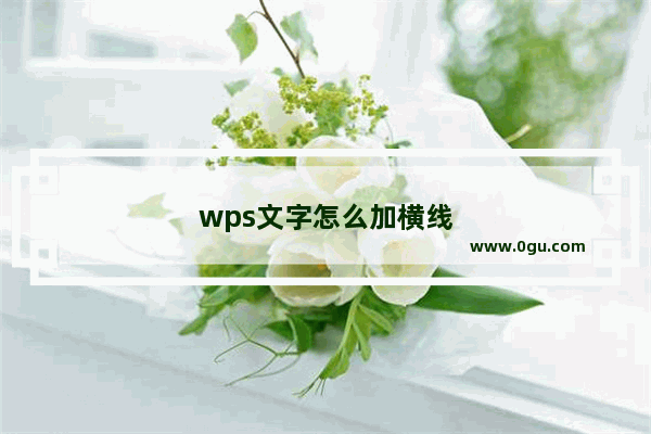 wps文字怎么加横线