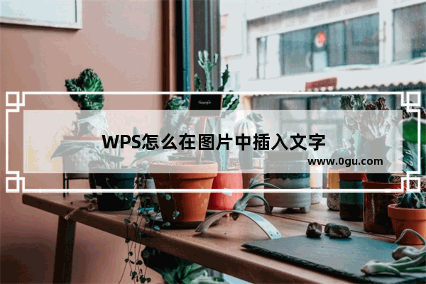 WPS怎么在图片中插入文字