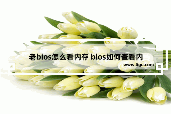 老bios怎么看内存 bios如何查看内存信息