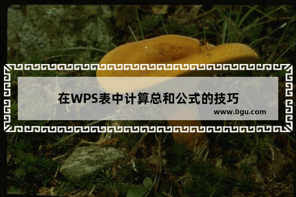 在WPS表中计算总和公式的技巧