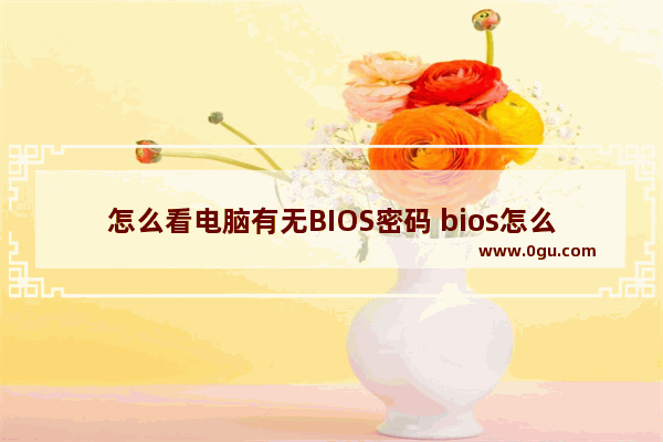 怎么看电脑有无BIOS密码 bios怎么查看有没有硬盘