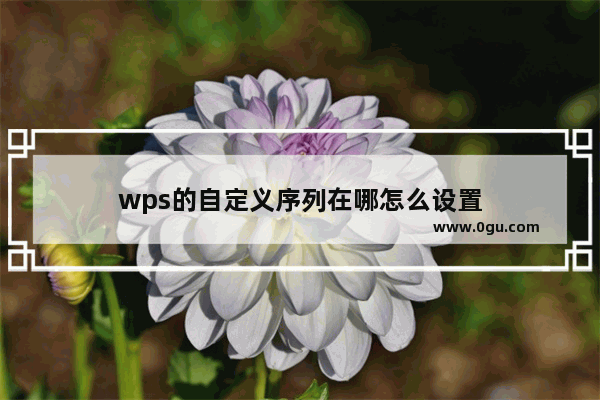 wps的自定义序列在哪怎么设置