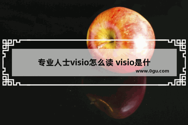 专业人士visio怎么读 visio是什么软件怎么念