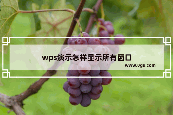 wps演示怎样显示所有窗口