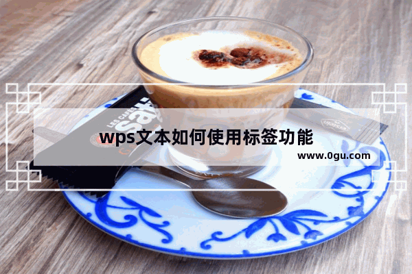 wps文本如何使用标签功能