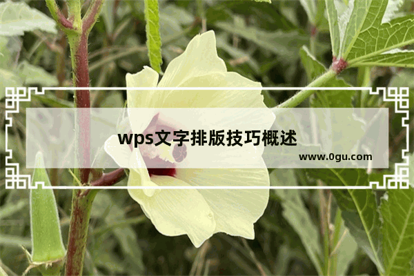 wps文字排版技巧概述