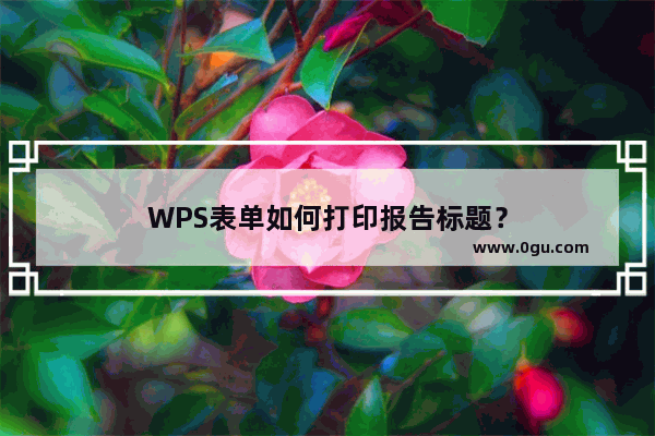 WPS表单如何打印报告标题？