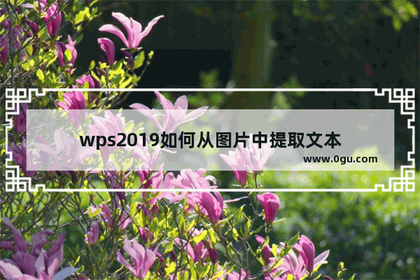 wps2019如何从图片中提取文本