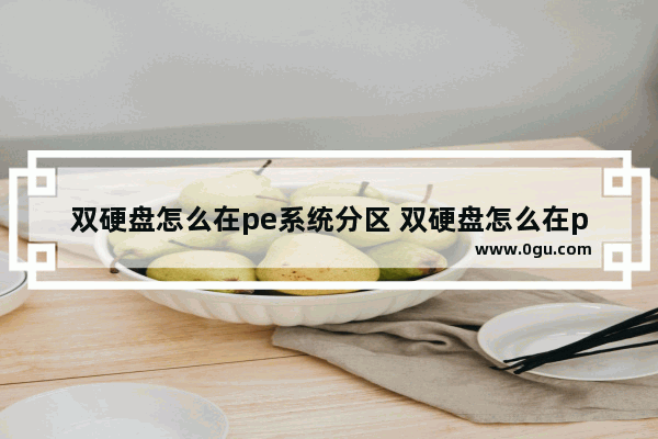 双硬盘怎么在pe系统分区 双硬盘怎么在pe系统分区备份