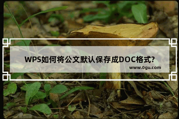 WPS如何将公文默认保存成DOC格式?