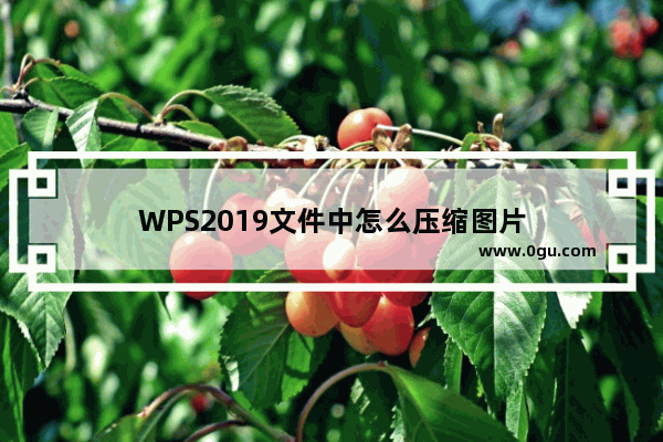 WPS2019文件中怎么压缩图片