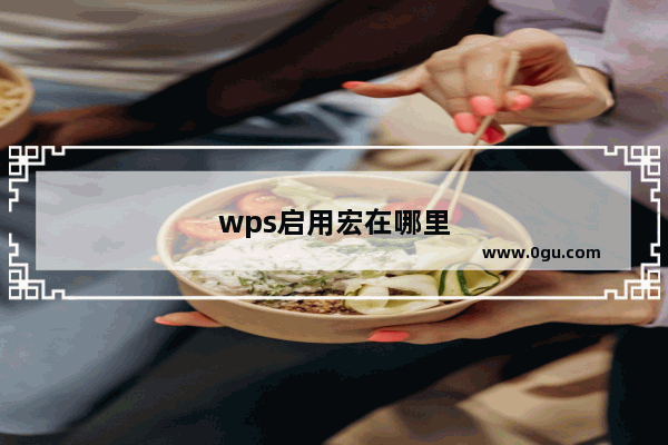 wps启用宏在哪里